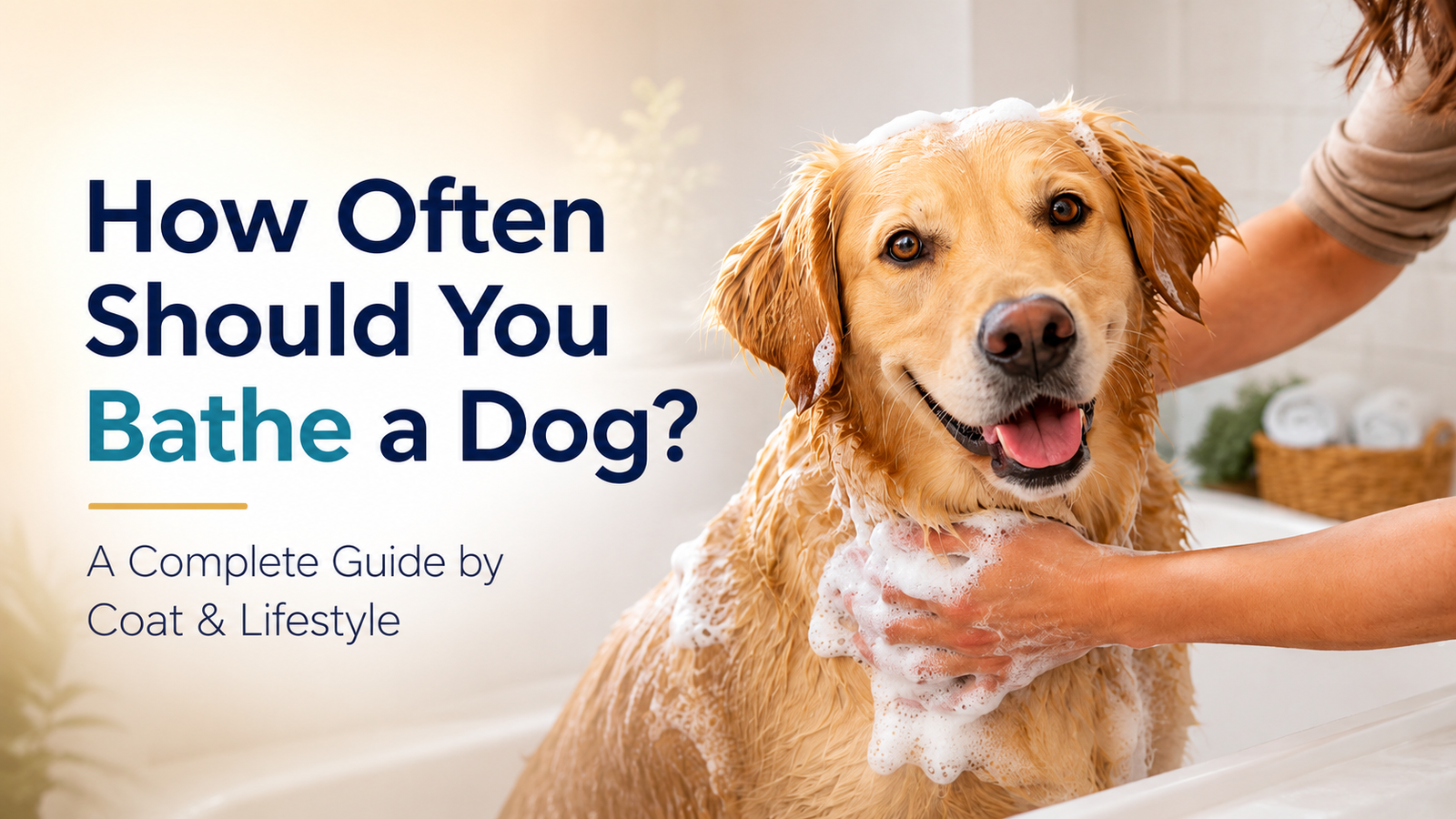 How Often Should You Bathe a Dog? A Complete Guide by Coat and Lifestyle
