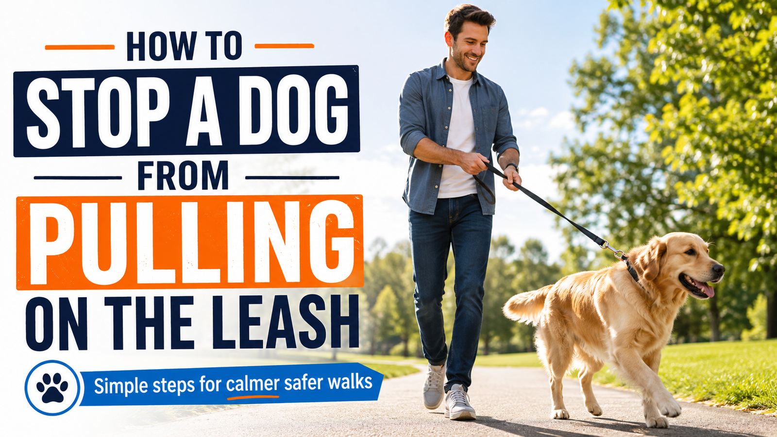 How to Stop a Dog From Pulling on the Leash