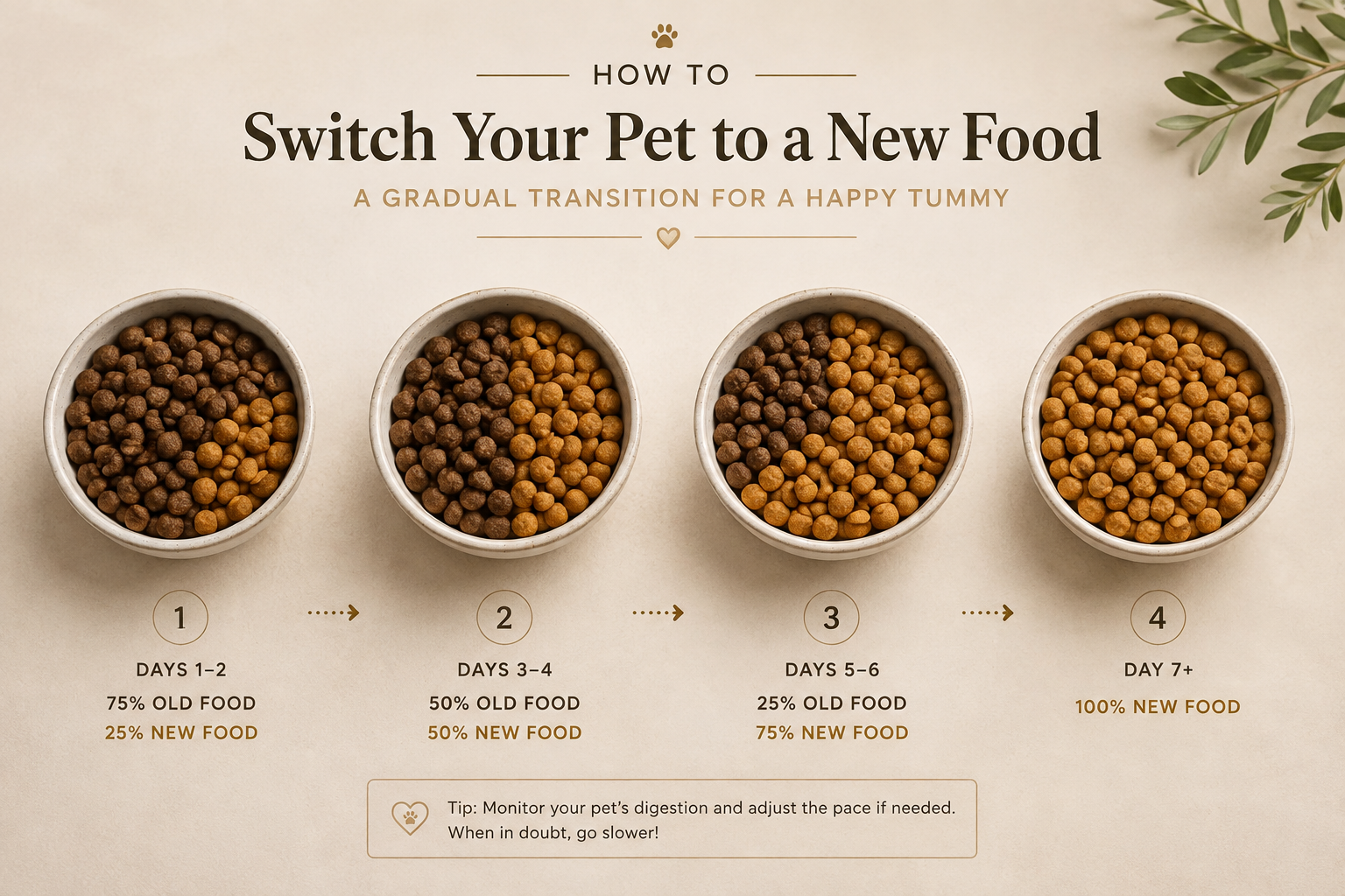 How to Switch Your Pet to a New Food Without Upsetting Their Stomach