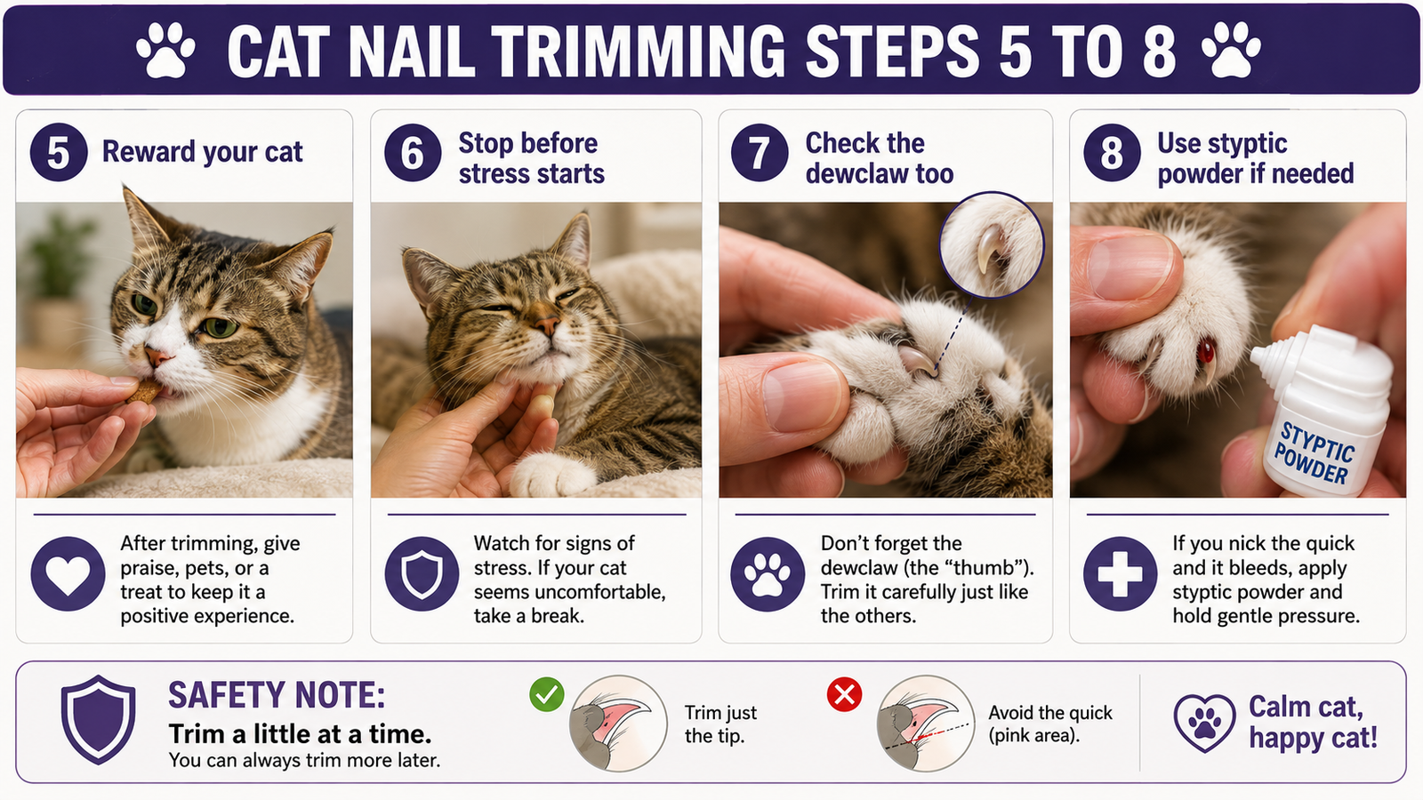 How to Trim a Cat’s Nails Safely at Home