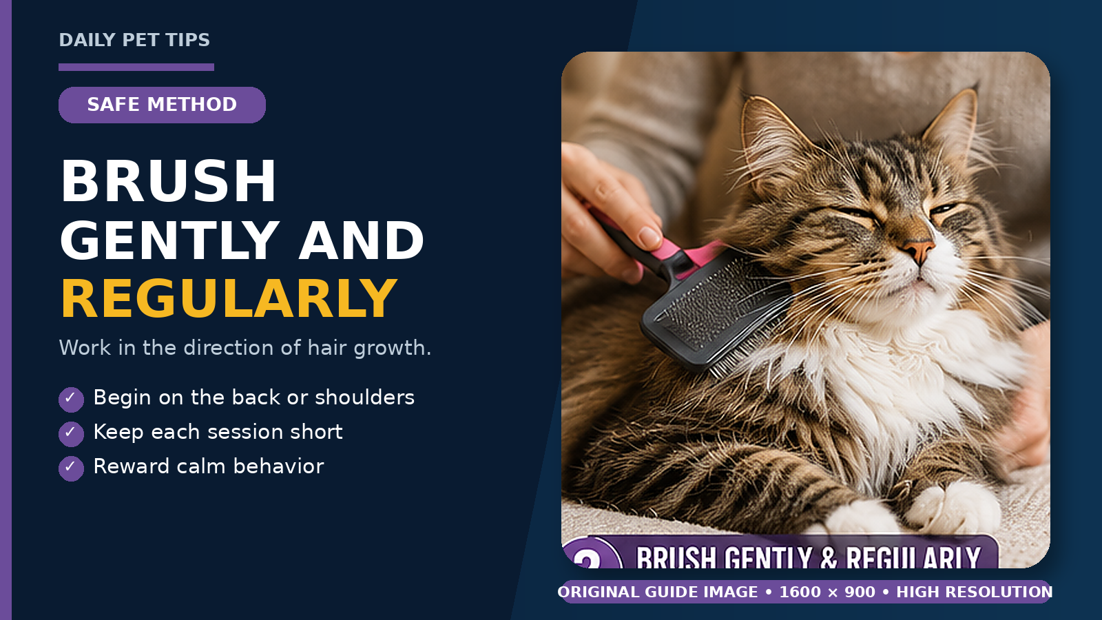 Dog brushing at home