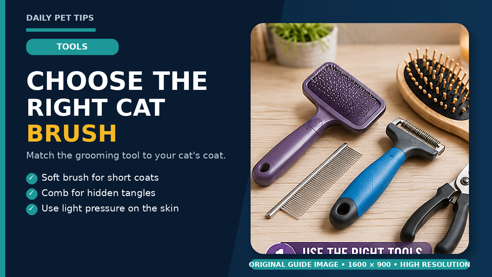 Dog brushing at home