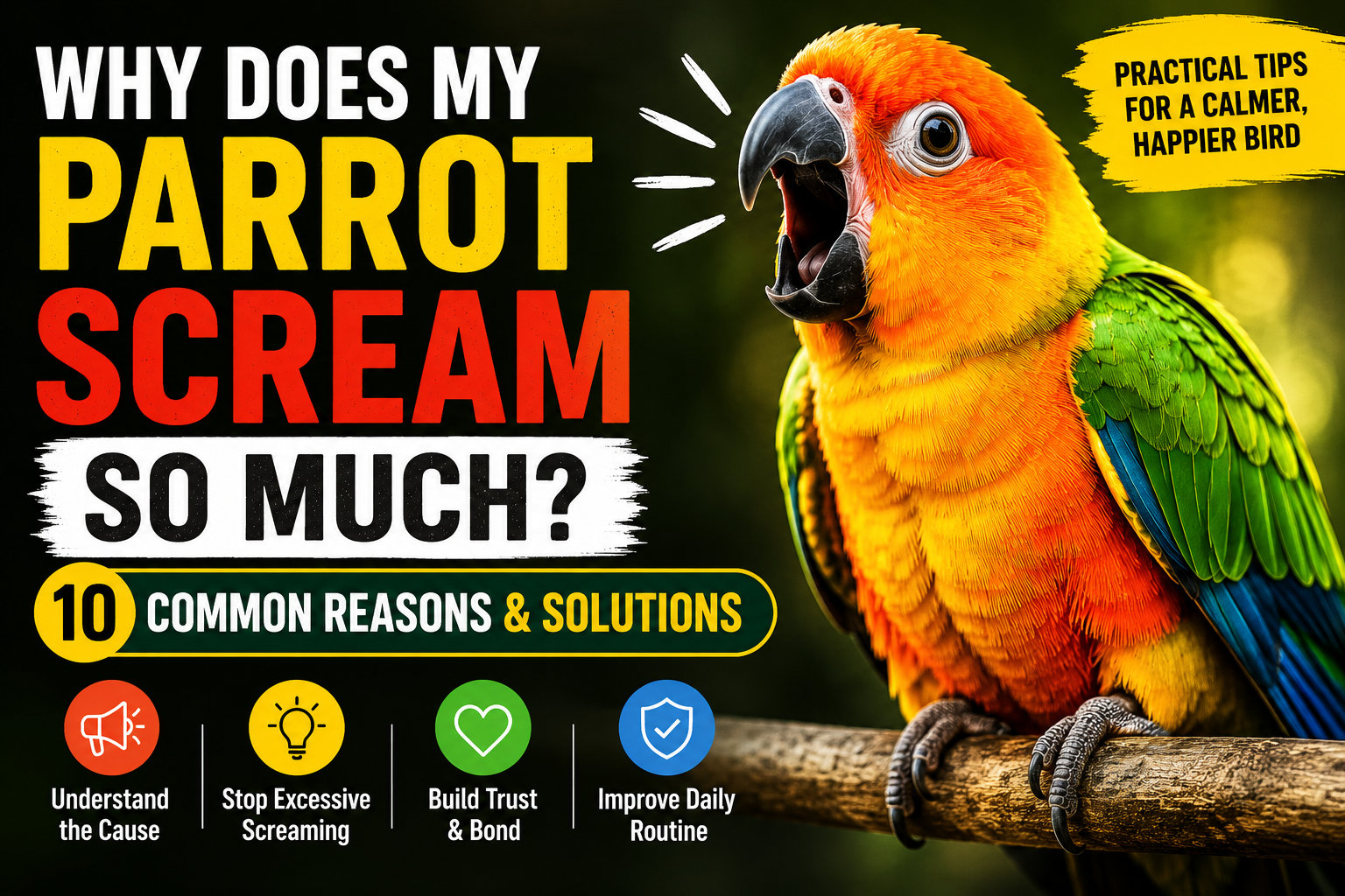 Why Does My Parrot Scream So Much? 10 Common Reasons and What to Do